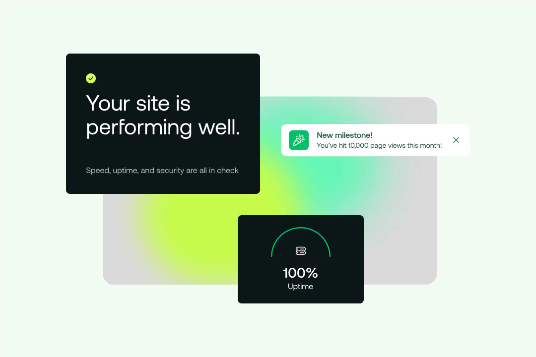 Website hosting built for your success